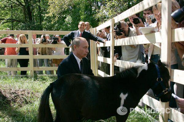 Подарок Владимиру Путину (8 фото)