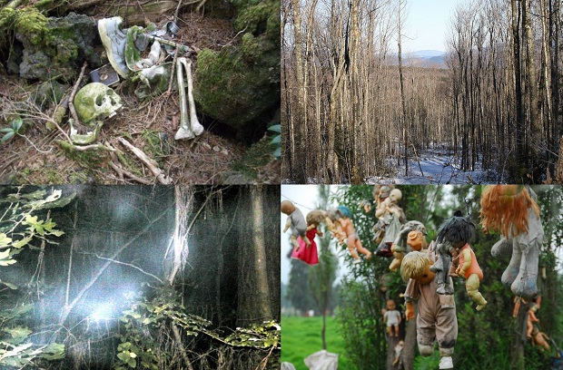 10 загадочных лесов c привидениями (10 фото + текст)
