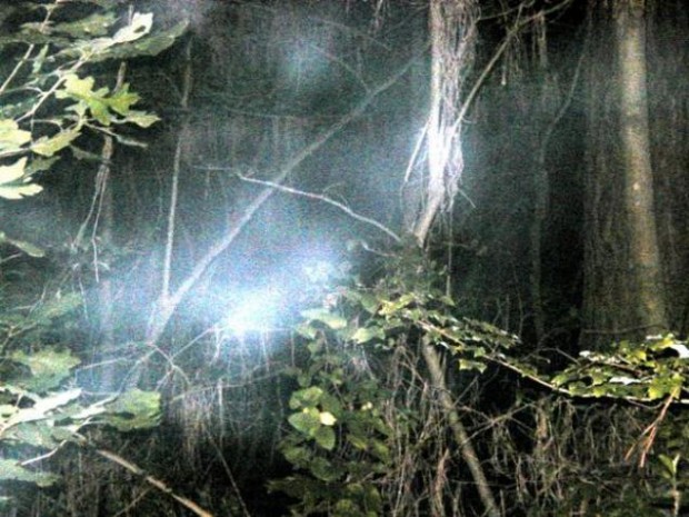 10 загадочных лесов c привидениями (10 фото + текст)