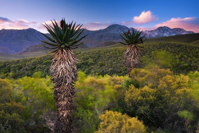 Красивые пейзажи Южной Африки 