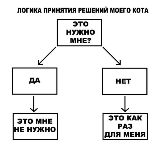 Прикольные картинки (67 фото)