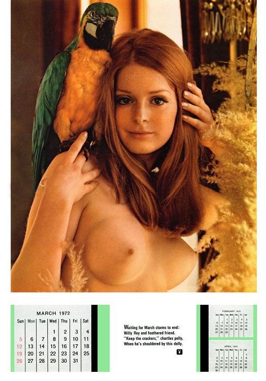 Модели Playboy 30 лет спустя (17 фото)