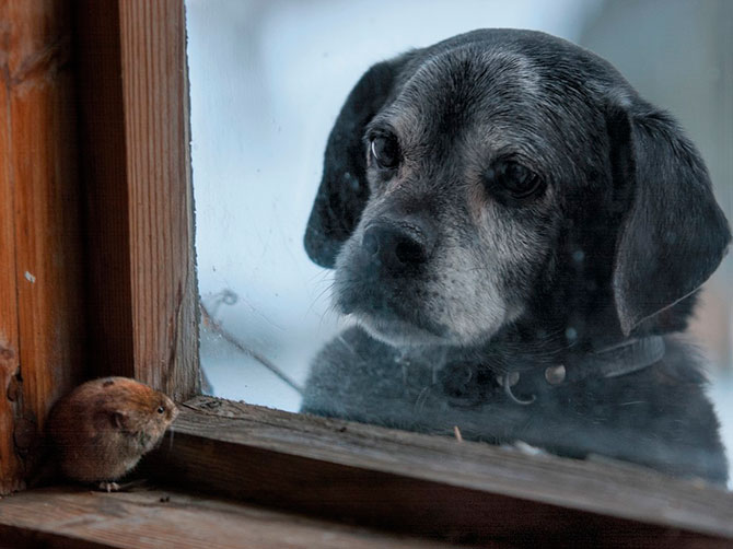 Лучшие фотографии National Geographic Russia в октябре