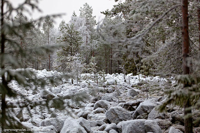 Звериная Лапландия - Рануа