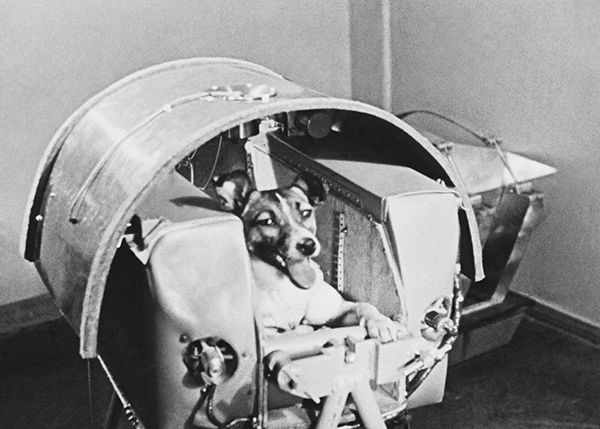 55 лет полету Лайки в космос! (9 фото)