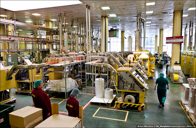 Экскурсия на самую большую фабрику по производству чая в Европе