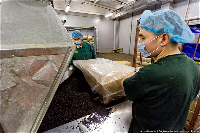 Экскурсия на самую большую фабрику по производству чая в Европе