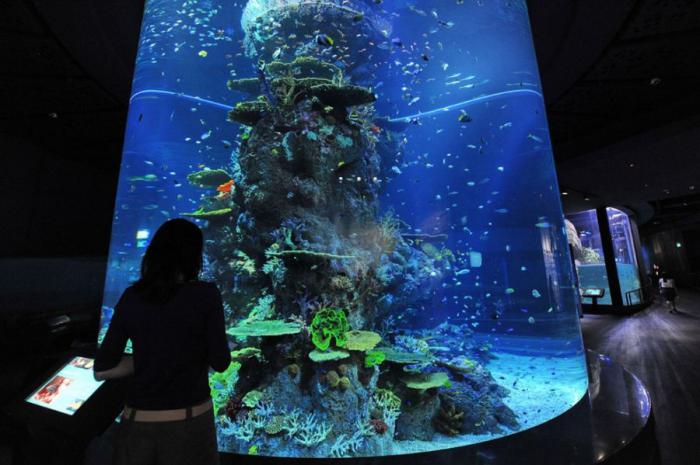 Открытие самого большого в мире океанариума