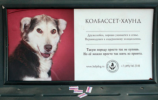 Лучшая печатная реклама России 2012