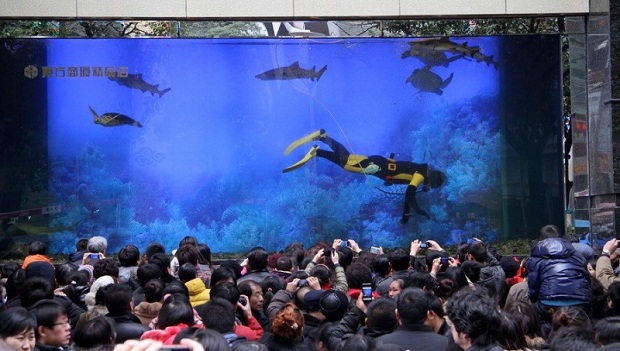 В китайском торговом центре лопнул гигантский аквариум (11 фото)
