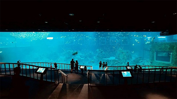 В Сингапуре открылся самый большой аквариум в мире (6 фото + видео)