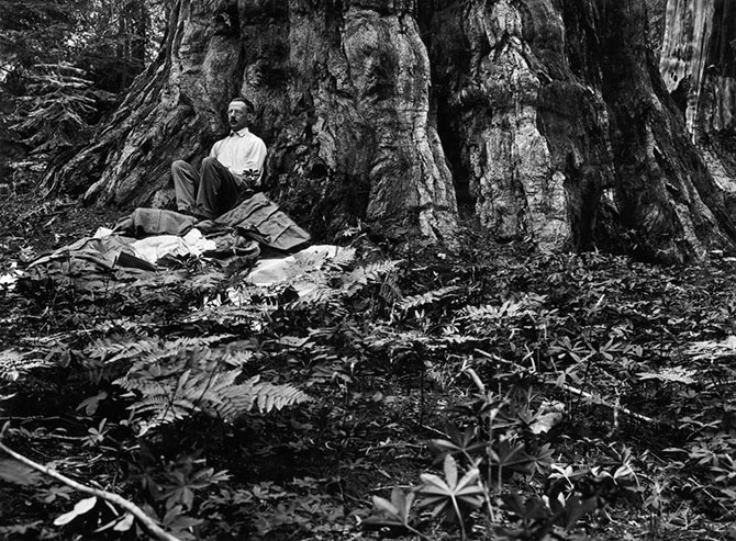 125 лет журналу National Geographic