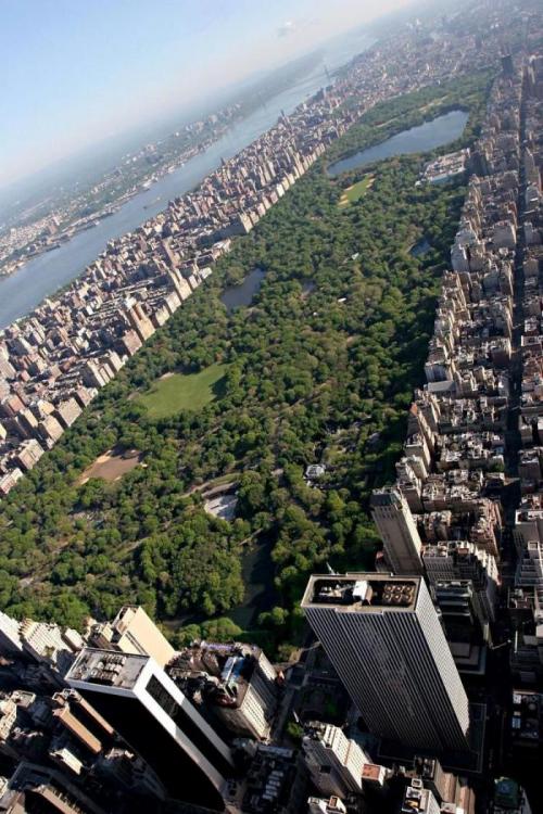 История Центрального Парка в Нью-Йорке
