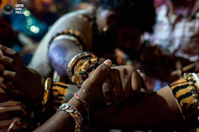 Тайпусам — важнейший праздник тамилов