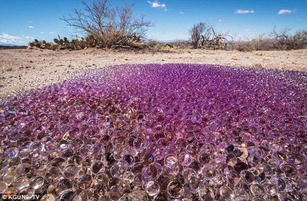 В аризонской пустыне обнаружены загадочные фиолетовые сферы (3 фото + видео)