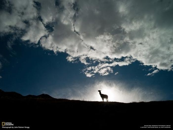 Красивые фото от National Geographic