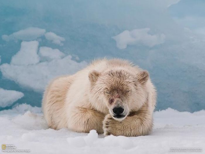 Красивые фото от National Geographic