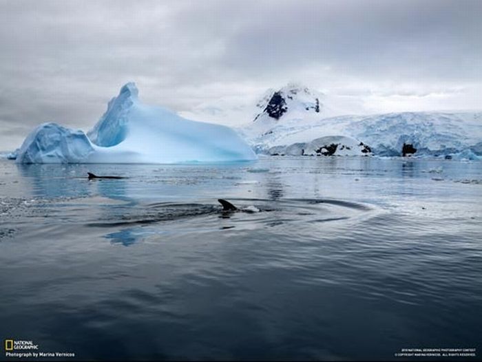 Красивые фото от National Geographic