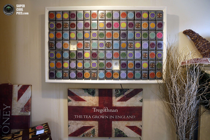 Tregothnan — английский чай, экспортируемый в Индию и Китай
