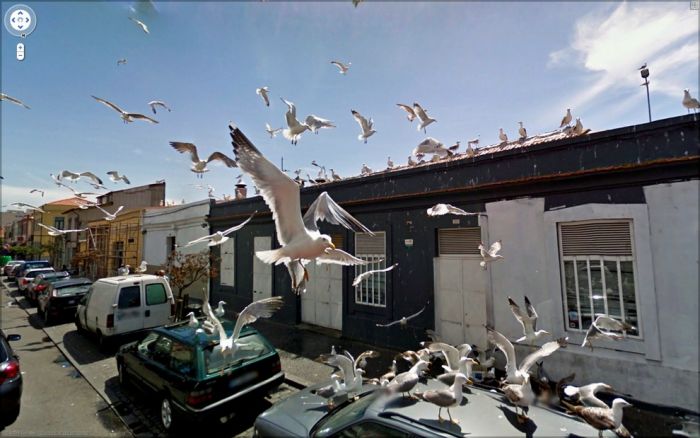 Странные фотографии с Google Street