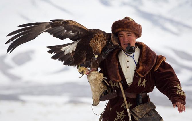 Охота с соколом в Казахстане