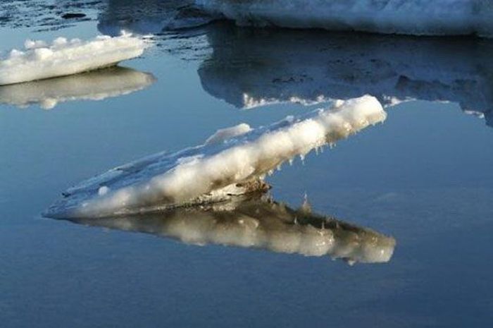 Иллюзии в реальной жизни