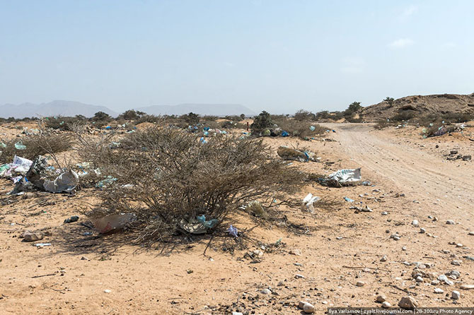 Прогулка по Бербере в Сомалиленде