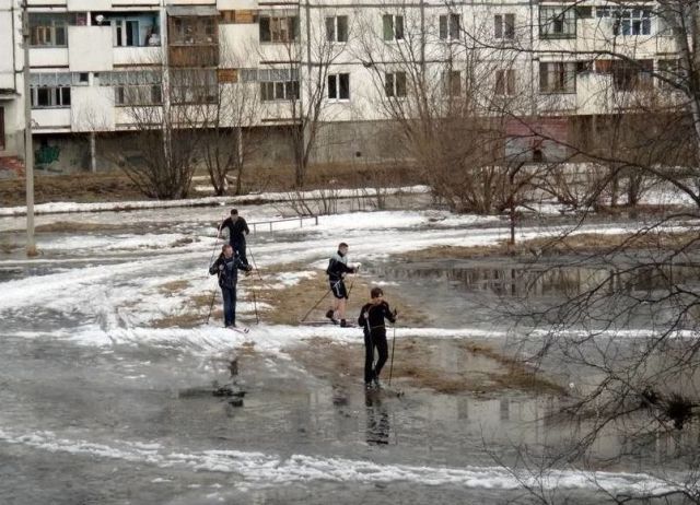 Прикольные картинки