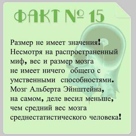 Все ли вы знаете о своем мозге, 15 фактов о ваших извилинах (16 фото)