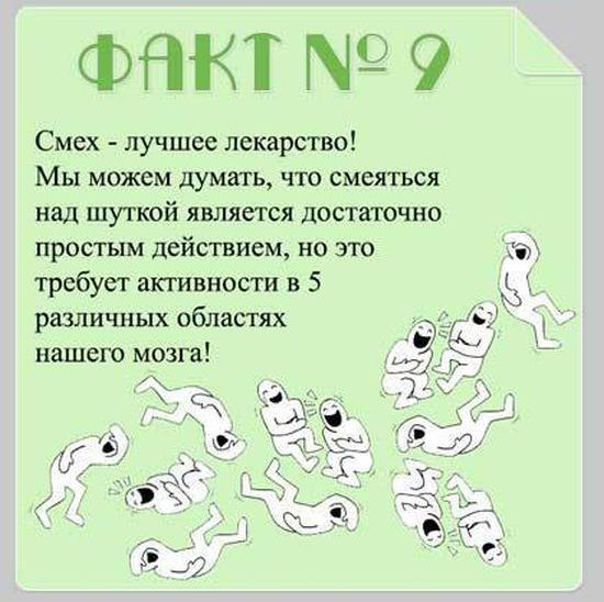 Все ли вы знаете о своем мозге, 15 фактов о ваших извилинах (16 фото)