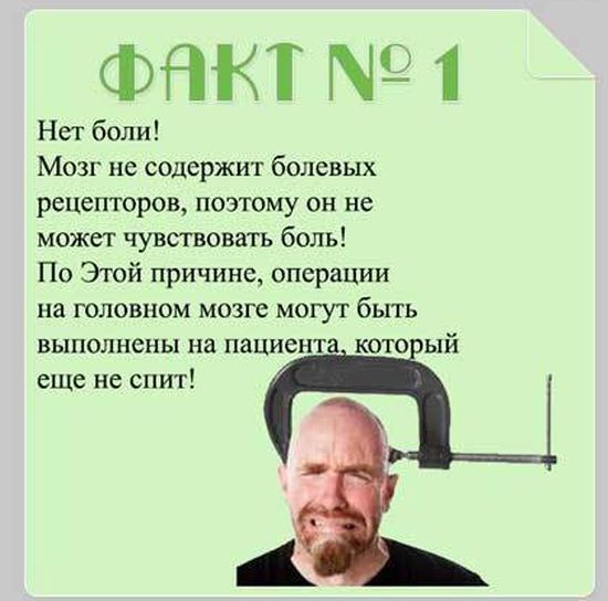 Все ли вы знаете о своем мозге, 15 фактов о ваших извилинах (16 фото)