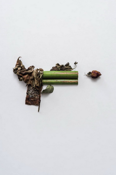 Растительное оружие Sonia Rentsch (6 фото)