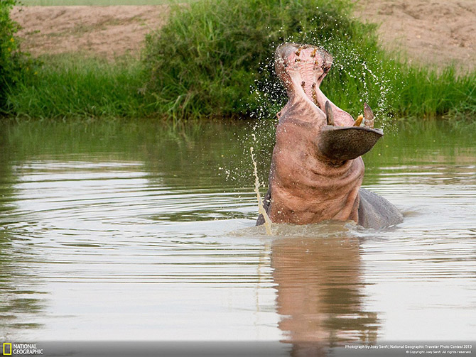 Конкурс фотографий National Geographic Traveler