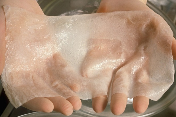 Scientist&#39;s Hands Hold Artificial Skin