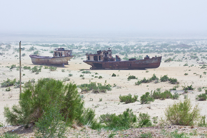 Корабли пустыни Узбекистана
