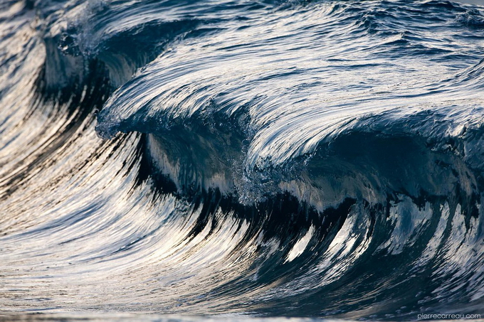 Красота волн в фотографиях Pierre Carreau (16 фото)