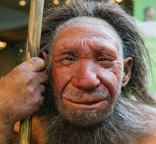 Испанские учёные выдвинули гипотезу, что неандертальцы вымерли, потому что люди съели их