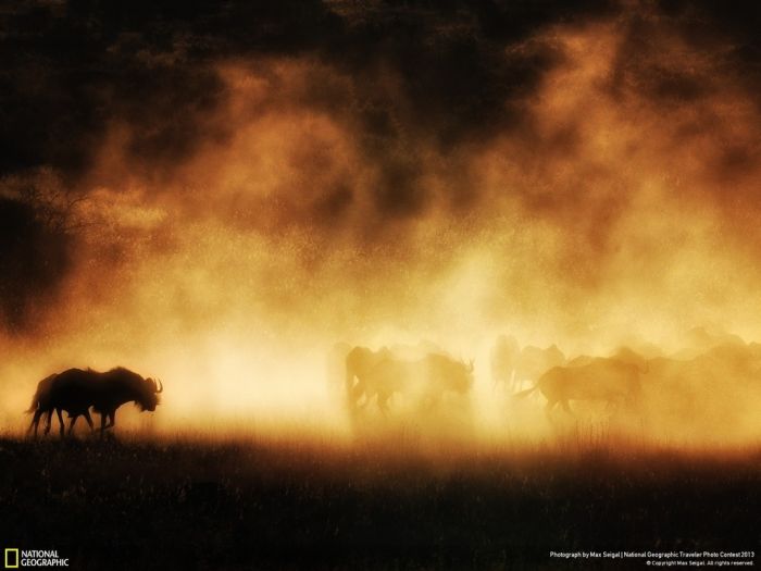 Красивые фотографии от National Geographic