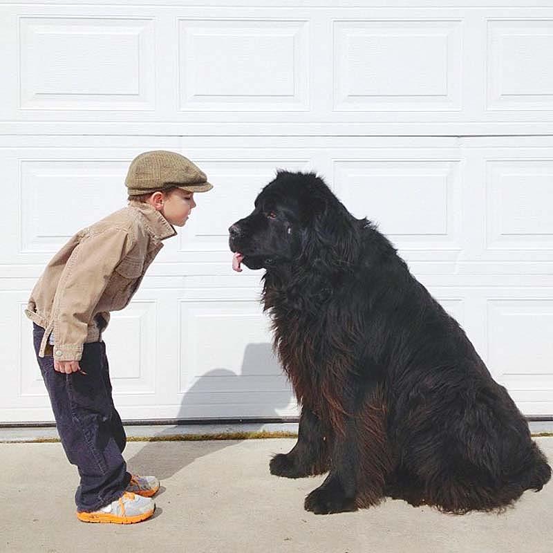 Мальчик и собака (12 фото)