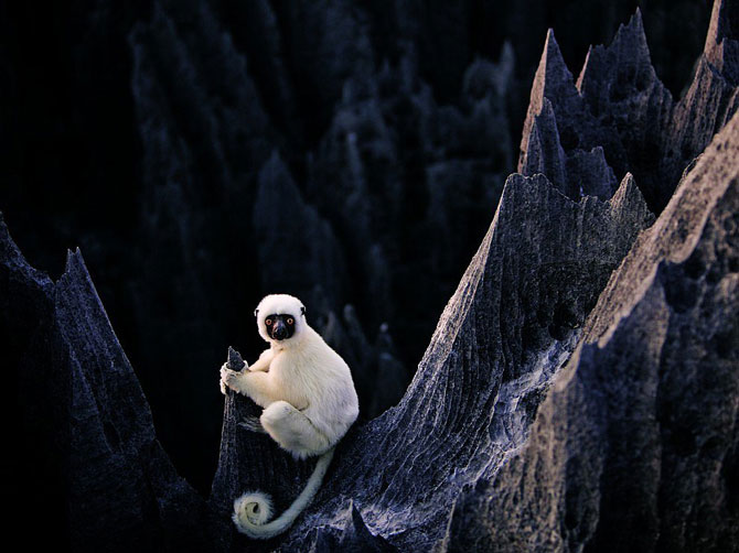 Лучшие фотографии февраля 2012 от National Geographic