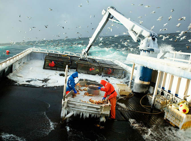 Как добывают крабов и рыбу в Беринговом море