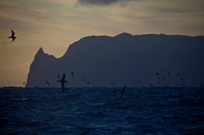 Тристан-да-Кунья - жизнь в центре океана (16 фото+ текст)
