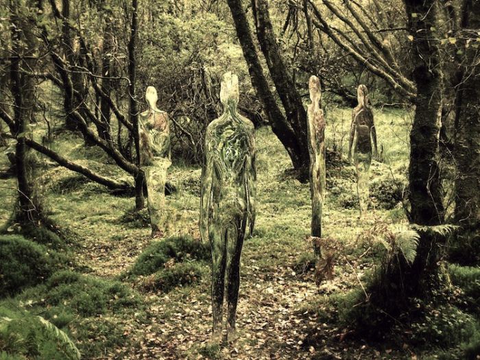 Необычные скульптуры в лесу