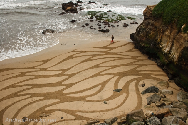 Новые работы художника на песке Andres Amador (19 фото)