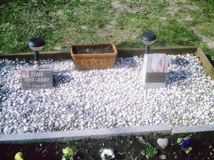 Кладбище домашних любимцев в Германии (36 фотографий)