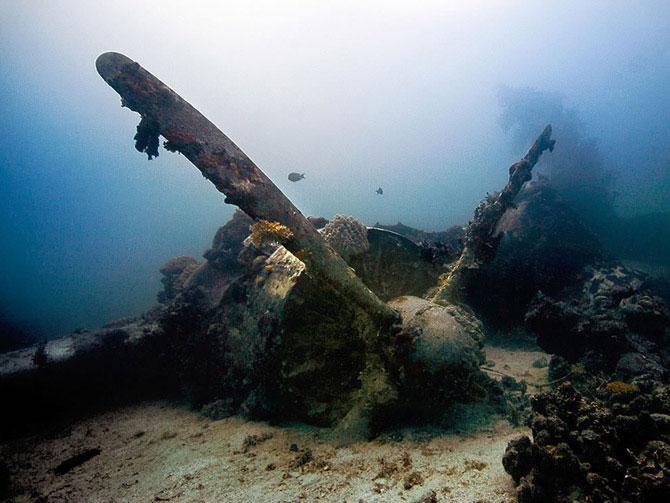 Подводные сокровища (38 фото)