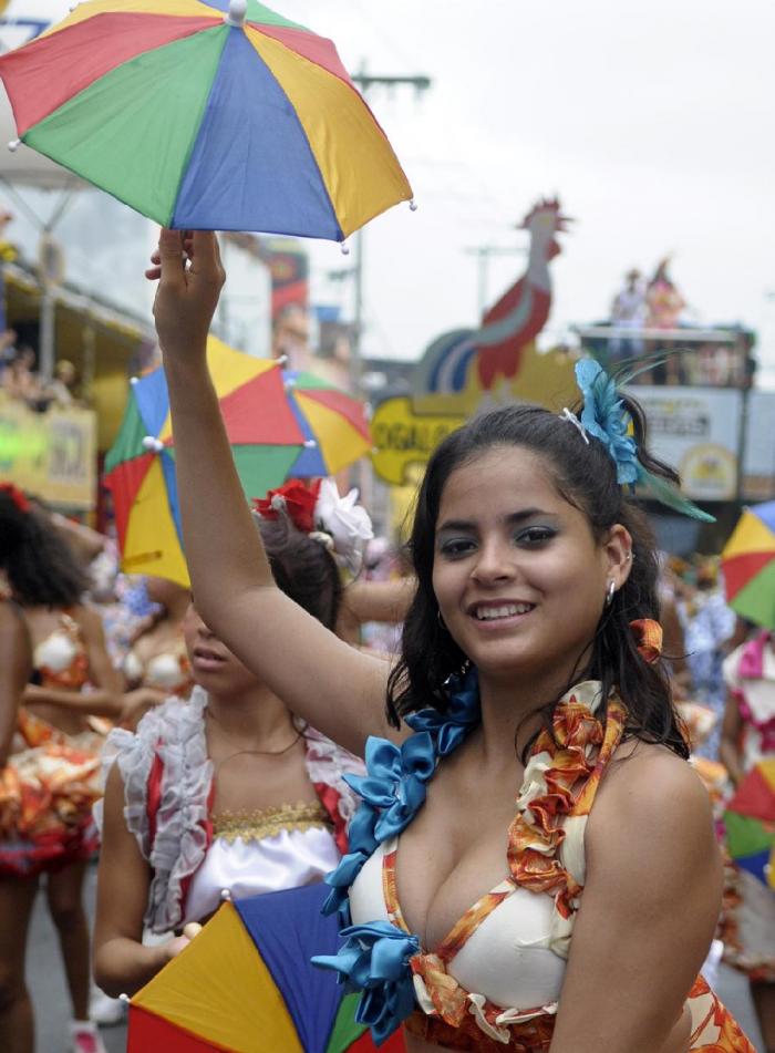 Карнавал в Рио (20 фото)