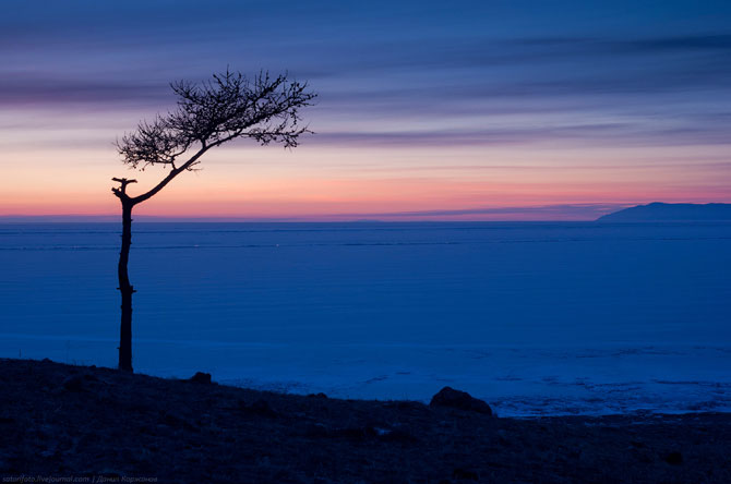 Зимнее путешествие по Байкалу (55 фото+текст)