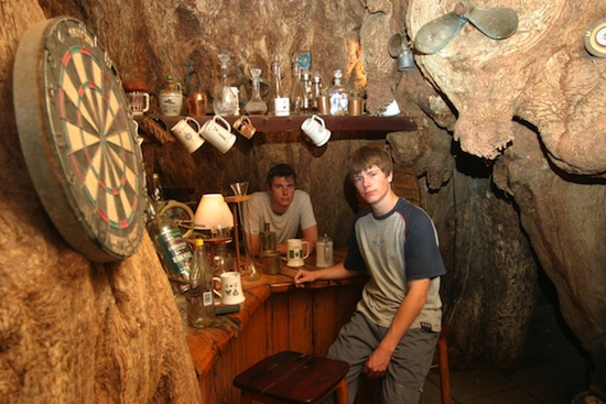 В ЮАР есть бар внутри растущего баобаба