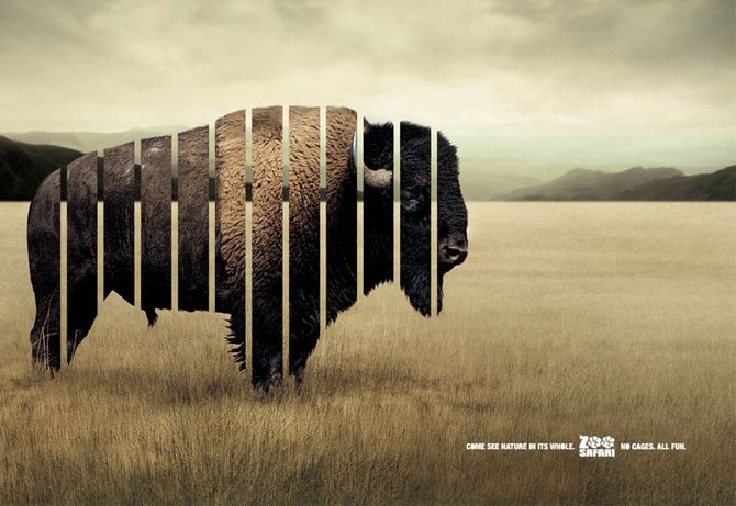 Креативная реклама зоопарков